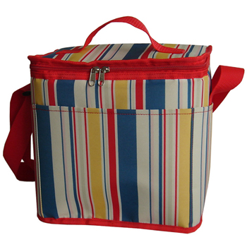 U0820 Cooler Bag