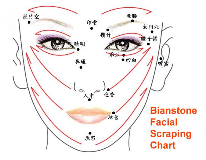 bianstone facial scraping chart