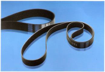 mutli wedge belt