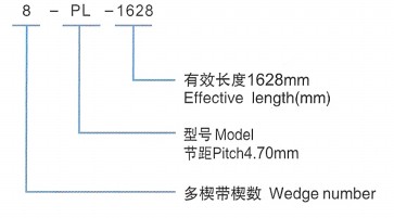 
 Wedge Belt Representation Method